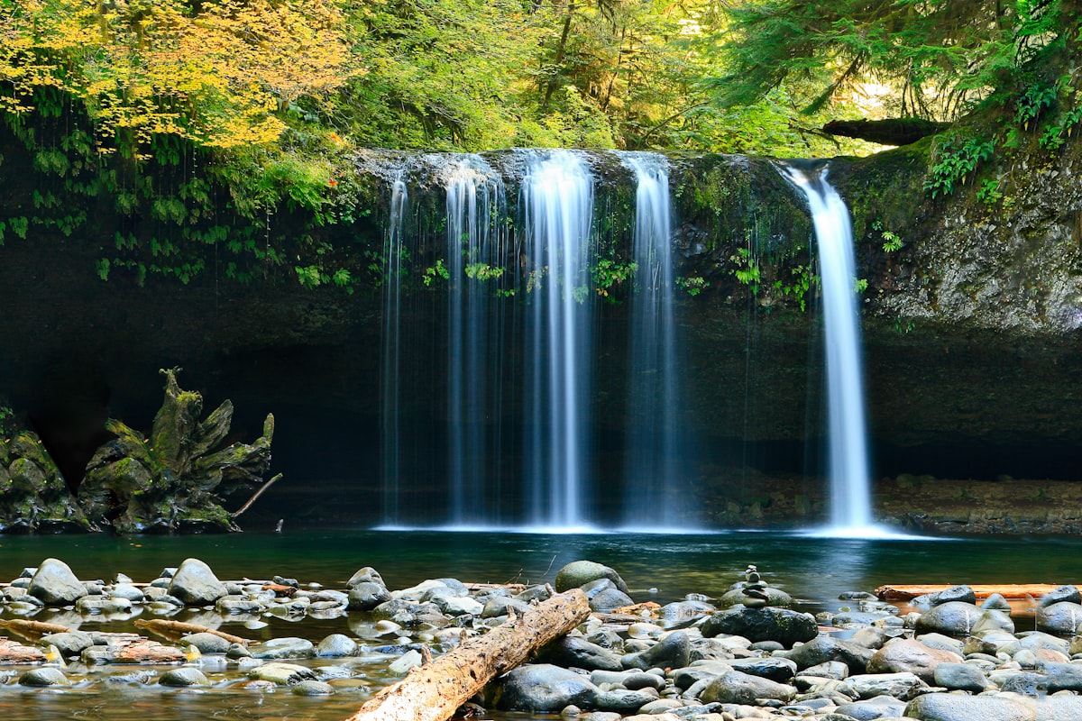 A waterfall pouring into a clear forest pool
